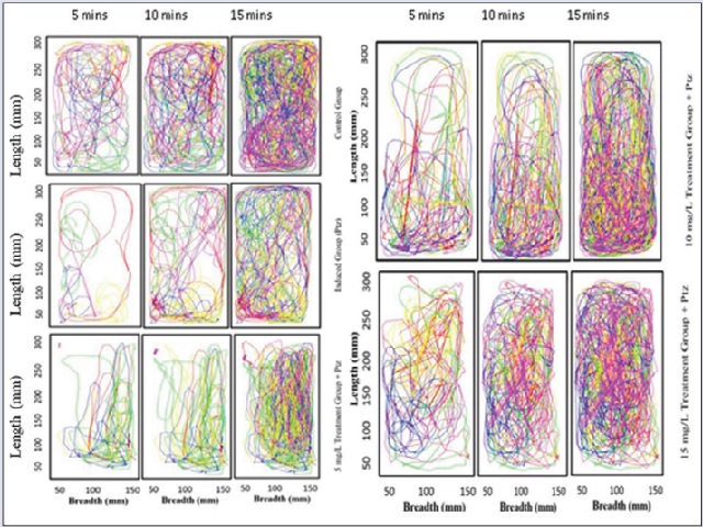 Swimming distance and pattern (2D-plot)
