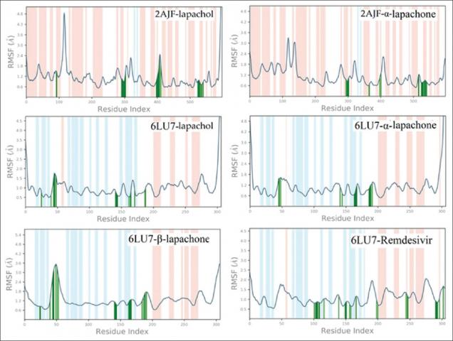 The RMSF of Cα atoms of hACE-2 protein (2AJF) and Mpro (6LU7)