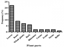 The different parts of plants used against ailments 