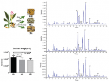 : (a) The processing of Pian-Jiang-Huang, Sheng-Er-Zhu, and Cu-Er-Zhu.