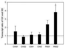 The transcript ratios of key genes in the luteoloside biosynthesis  pathway of Lonicera japonica flower buds