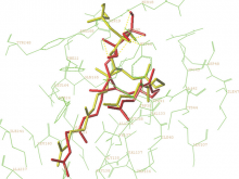The predicted binding mode of presqualene diphosphate