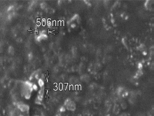 Scanning electron microscope images of Chitosan-Pinus merkusii extract nanoparticles