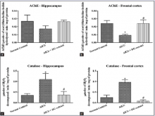 Effect of hydroalcoholic whole plant extract of Desmodium gangeticum on hippocampus 