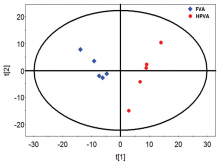 Principal component analysis score plots of fresh velvet