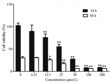 Michigan Cancer Foundation-7 viability (%) exposed to different  concentrations and different incubation periods