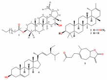  Structures of isolated compounds 1–5