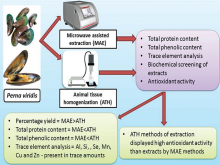 Graphical Abstract