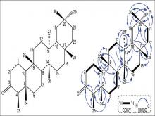  Key1 H1 H COSY and HMBC correlations of compound 1