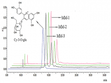  High-performance liquid chromatography chromatogram