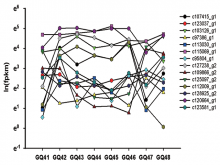  Trends in CO expression
