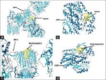  Docked complexes of  (a) piperine with dipeptidyl  peptidase-4, (b) piperine with GKRP