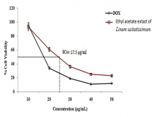  Cytotoxic effect of different extracts of Linum usitatissimum seed  on HeLa cell line