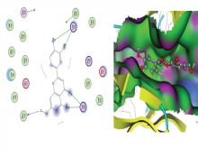 : (a) 2D; binding modes and (b) 3D mapping surface of Quereetin  with Aurora B