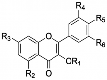  Chemical structure of rutin 1, nicotiflorin 2, and narcissin  3 identified in Annona cherimola leaf extract
