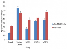  The apoptotic cell percent of MDA-MB-231 and MCF-7  cells 