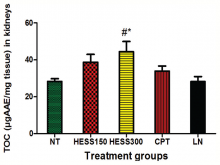 Total antioxidant capacity in kidney homogenates