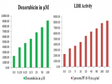 Graphical representation of lactate dehydrogenase enzyme generation by Juniperus procera on cancer cells
