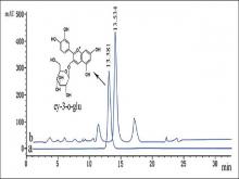  High-performance liquid chromatogram of reference substance