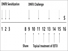 Experimental design. Dried seeds of Thuja orientalis were  extracted using 70% ethanol 