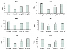  Effect of eupatilin on antioxidant activities in control and experimental animals. Results are expressed as mean ± standard deviation for six animals  in each group