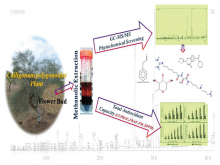 GC‑MS/MS‑Based Phytochemical Screening of Therapeutic Potential of Calligonum polygonoides L. Flower Bud against Chronic Diseases