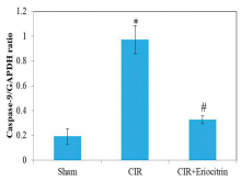 Protective effect of Eriocitrinon Cerebral Ischemic Reperfusion Injury based on neurological deficit score in experimental mice. Data were presented as mean ± standard devitation. A P ≤ 0.05 was considered statistically significant. Comparisons: *with Sham; # with Cerebral Ischemic Reperfusion