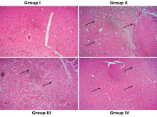 An illegal choice has been detected. Please contact the site administrator.
