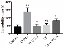 Immobility time of forced swimming test. After 3 weeks of treatments, the immobility time of rats during forced swimming was tested.