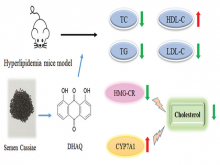 Effect of 1,8‑Dihydroxyanthraquinone on the Imbalance of Lipid Metabolism via Regulation of Expression of CYP7A1 and 3‑Hydroxy‑3‑Methylglutaryl Coenzyme A Reductase mRNA in Hyperlipidemic Mice