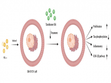 Tanshinone IIA Alleviates Amyloid β‑Induced Neurotoxicity of SH‑SY5Y Cells through GSK‑3β Pathway