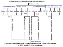 Effects of Retinoic Acid‑Induced Osteoporosis on Pharmacokinetics and Tissue Distribution of 2,3,5,4’‑Tetrahydroxy Stilbene‑2‑Ο‑β‑D‑Glucoside and β‑Ecdysterone in Rats