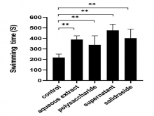 Effects of turnip on the exhaustive swimming time of mice. The X‑axis denotes different groups as follows: