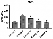 Oxidative stress marker reducing effect of brucine in control and experimental animals. Values are expressed in mean ± standard deviation #P < 0.001 compared with the normal group, *P < 0.05 compared with the allergic rhinitis control group