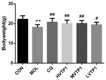 Preparation and anti-fatigue effects of Vicatia thibertica polysaccharide