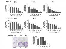 Anticancer effects of Piper nigrum extract against cholangiocarcinoma cells