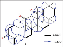 Some key HMBC and COSY correlations of compound 1