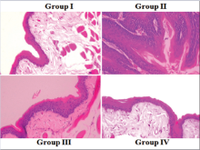 Effect of BTN on histopathology of buccal mucosa