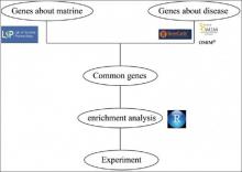 Combined network pharmacology and cell experiments to explore the anti-inflammatory mechanisms of matrine