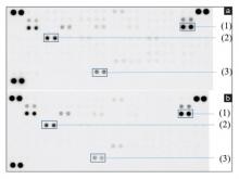 Human oncology antibody array after incubation