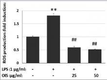 Effect of OIS extract on LPS-induced intracellular ROS levels