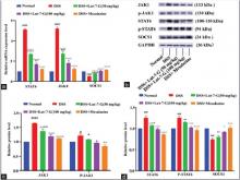Relative mRNA and protein expression levels of JAK1, STAT6, and SOCS1