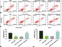 Combination of Vinorelbine with oxaliplatin promoted NSCLC cell apoptosis 