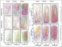 Swimming distance and pattern (2D-plot)